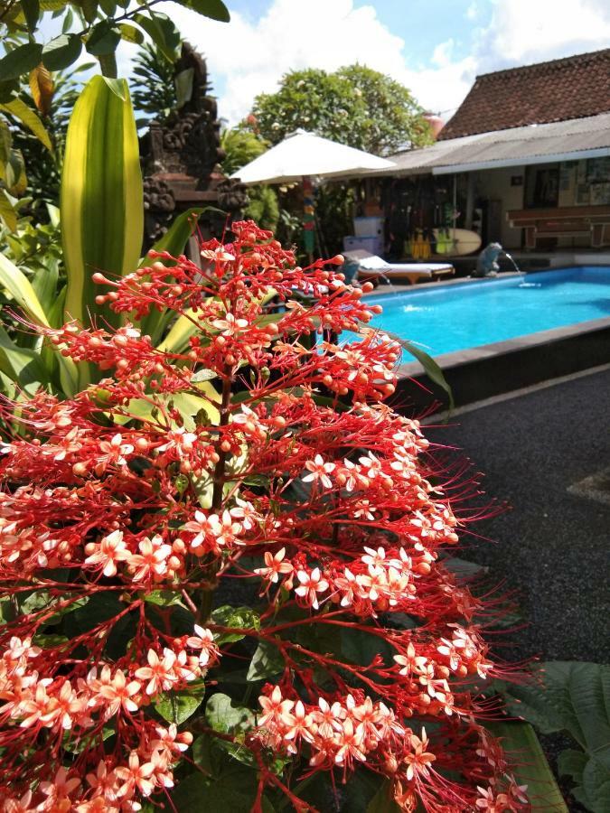 Sunwukong Guest House Ubud Exteriör bild